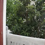 Hotel Luisa